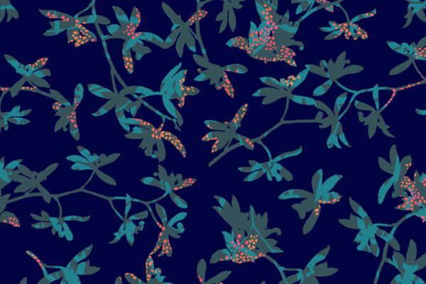 Orchidea-wp- kopia Orchidea-wp- kopia