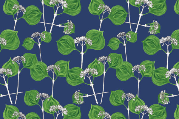 Botanika-1 Botanika-1