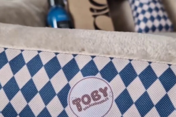 toby_goldendoodles-fot