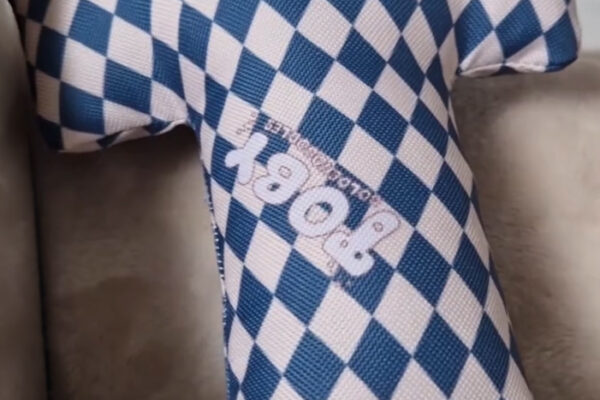 toby_goldendoodles-fot5